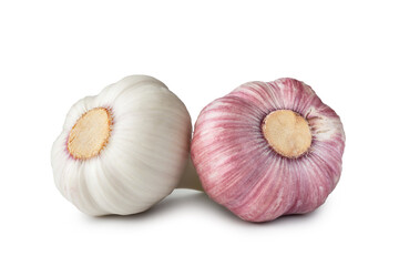Raw garlic. Two heads of garlic isolated on white