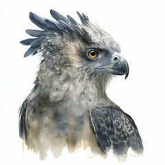 Harpy Eagle Watercolour Illustration | Wildlife Portrait - obrazy, fototapety, plakaty