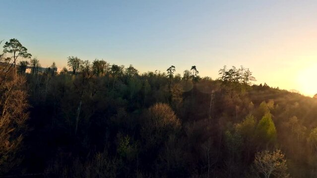 Luftaufnahme &uuml;ber dem Wald beim Hockgraben mit Blick auf die Sonnenb&uuml;hl Wohngegend. Bodensee, Konstanz, Baden-W&uuml;rttemberg, Deutschland, Europa.
