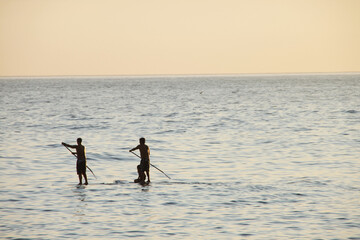 image of friends doing stand up paddling in the sea with wonderful sunset light