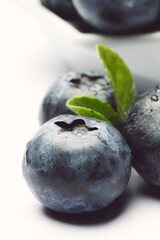 arándanos en fondo blanco
