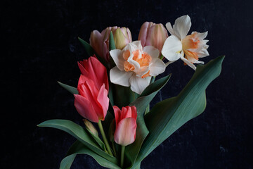 Beautiful bouquet of tulips and daffodils with a black background.