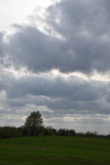 Fototapeta na wymiar Cloudy Field