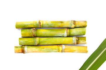 Sugar cane on white background.