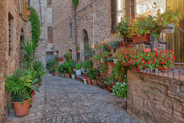 Fototapeta na wymiar Italy, Umbria. Scenic sight in Spello, flowery and picturesque village.