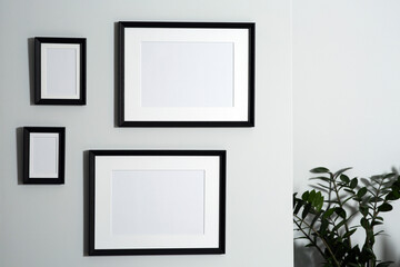 Different empty frames hanging on white wall near houseplant
