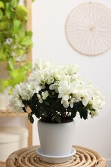 Beautiful azalea plant in flower pot on wooden table indoors