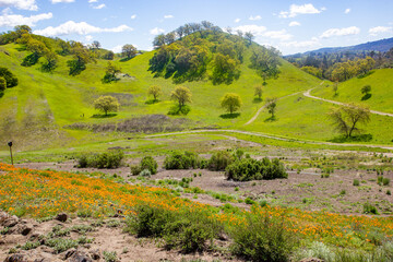 landscape in the mountains