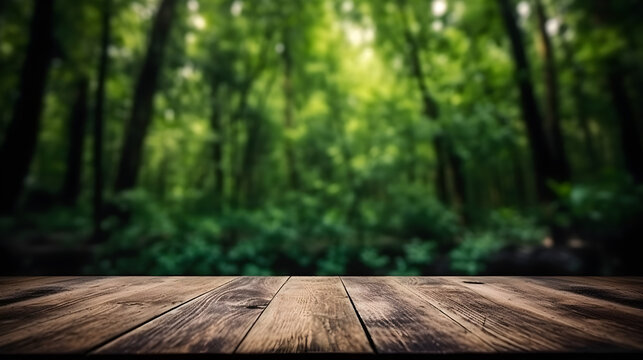 wooden table in forest
