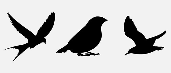 isolated black silhouette of a bird, vector collection