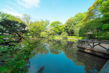 有栖川記念公園の春の朝の風景