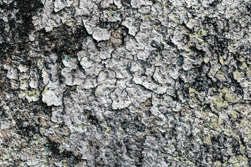 Paint used for painting non-standard house walls causes the wall paint to peel off.