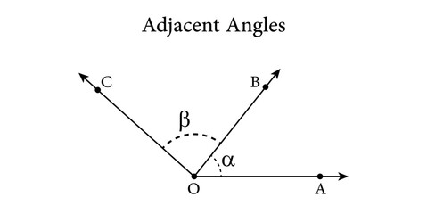 Adjacent angles in mathematics. Two angles with common vertex and side. Vector illustration isolated on white background.