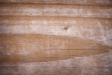 Wood grain textured background