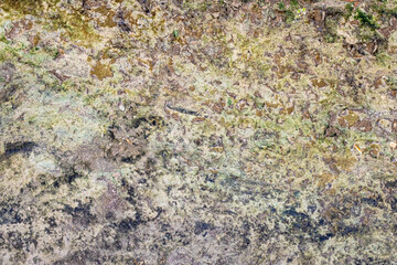 Dirty concrete with mildew grunge texture