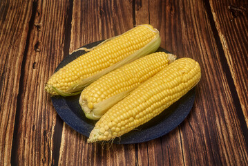 elotes, maiz, mexico