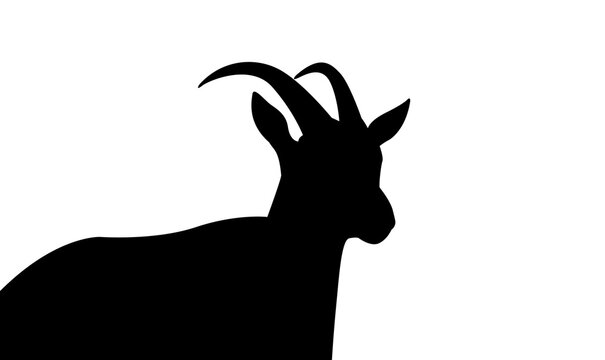 Goat Silhouette. Farm animal silhouette, eid adha