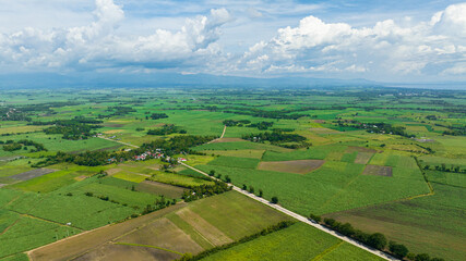 Top view of farmland with rice fields and sugarcane. Negros, Philippines © Alex Traveler