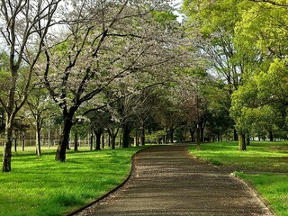 春の公園
