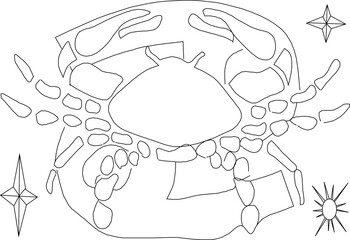 Star horoscope zodiac symbol logo illustration vector sketch