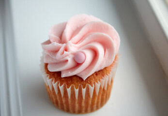 The Cupcake with Pink Icing