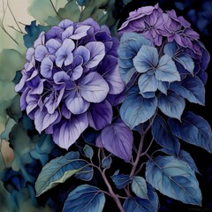 blue hydrangea flower