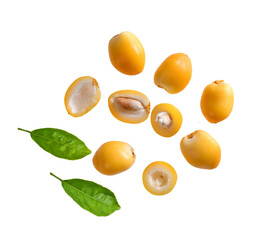 date palm fresh fruit on transparent png