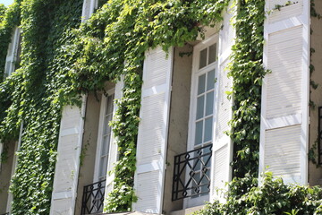 Fototapeta na wymiar old house with ivy