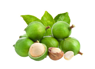 macadamia nuts with leaf isolated on transparent png