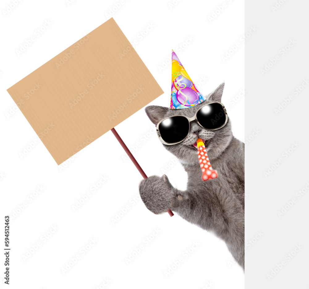Poster Happy cat wearing party's cap look from behind empty white banner and shows empty placard. isolated on white background