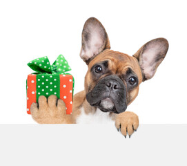 French Bulldog puppy holds gift box and looks above empty white banner. isolated on white background