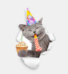 Happy cat wearing party cap blows in party horn and looks through a hole in white paper and shows cupcake with burning candle
