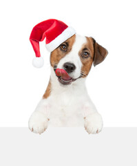 Licking lips Jack russell terrier puppy wearing red santa hat  looks above  empty white banner. isolated on white background