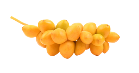 date palm fresh fruit on transparent png