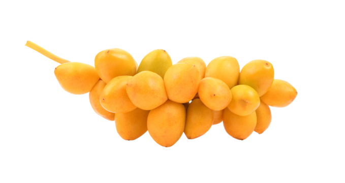 date palm fresh fruit on transparent png