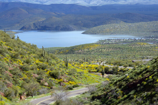 Scenic drive through Theodore Roosevelt Lake with high water and super bloom wildflowers in spring 2023