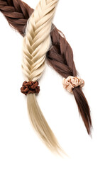 Braided strands with scrunchies on white background, closeup
