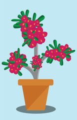 An illustration of red plants and flowers in brown pots, used for decoration.
