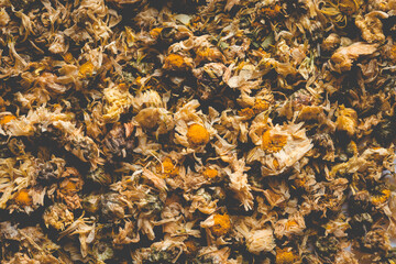 Close up of Dried Chrysanthemum, the herb is often used as a health care