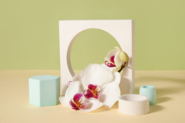 Decorative plaster podiums and beautiful orchid flowers on beige table against green background