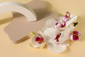 Decorative plaster podiums and beautiful orchid flowers on beige background, closeup
