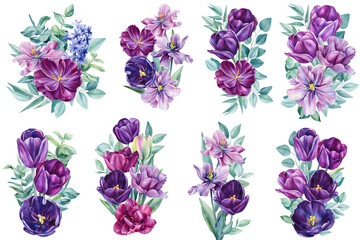 Set of flowers on an isolated white background. Watercolor illustrations. Purple tulips. Violet flower