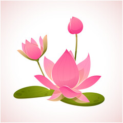 Lotus Flowers 1