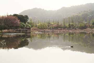 반영9