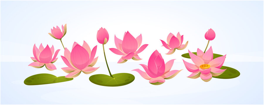 Lotus Flowers Set