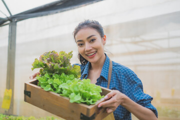 A beautiful female farming is showing or presenting a basket of an organic Vegetables or lettuce. Concept of organic farm or greenhouse. Freshness of product. Healthy product non-chemical.