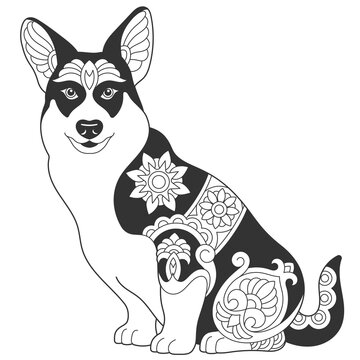 Cute corgi dog design. Animal coloring page with mandala and zentangle ornaments.