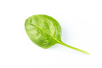 Green spinach on a white background