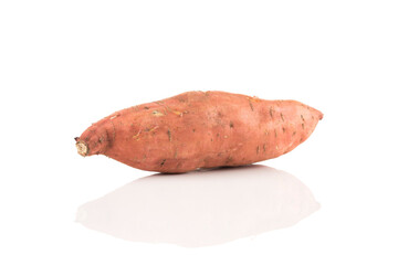 Sweet potato on the white background