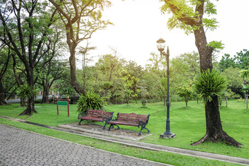 Vintage benches in a city park, summer landscape.